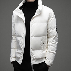 2024年新款男士皮衣羽绒服P255，男装羽绒服，电商D223-1