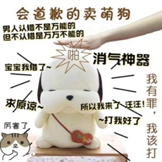 会道歉的卖萌狗“宝宝我错了”消气神器带音乐盒