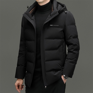 DF23536钱塘2020-2时尚休闲简约冬季厚款中年男士羽绒服P313图片