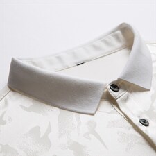 男长袖夏季薄款中年爸爸秋装上衣丅翻领卫衣春秋季polo衫，男装卫衣，电商B212（原钱塘6029）