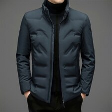 羽绒服外套男立领商务休闲中年男装冬季中老年爸爸装ZL6107-P195,男装羽绒服,电商B212（原钱塘6029）
