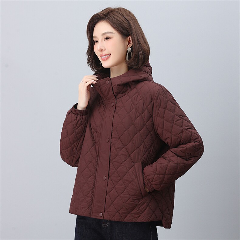 2024年冬季新款时尚休闲保暖连帽小棉服,女装棉衣/棉服,依恋蒂丝