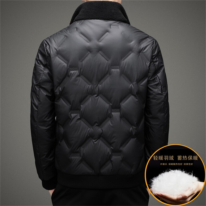 V2580钱塘2020-3秋冬新款中年男士羽绒服立领商务休闲外套P200,男装羽绒服,钱塘207-3
