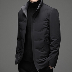 羽绒服男士加厚保暖冬季短款白鸭绒立领外套韩式潮流简约帅气男装，男装羽绒服，钱塘6003（原4033）