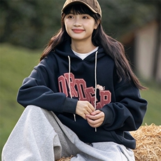 2026冬季新款男装日系潮牌印花宽松休闲卫衣加厚卫衣WY558-F96，男装卫衣，电商A101（原外27）