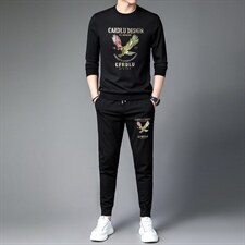 2023春秋季新款男装中青年商务休闲免烫两件套长袖t恤男上衣套装，男装休闲套装，电商B212（原钱塘6029）