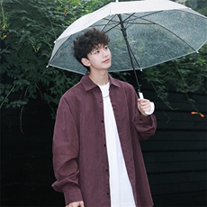 乌梅紫