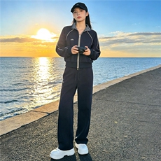 韩版休闲运动套装秋季新款女时尚减龄纯色立领卫衣直筒长裤两件套，女装套装/套裙，江南
