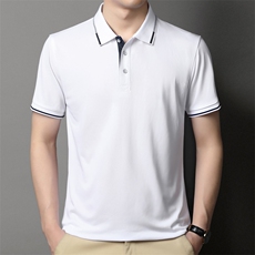 POLO衫男上衣半袖男装衣服男士体恤衫T恤潮牌休闲翻领爸爸短袖男，男装T恤，电商B212（原钱塘6029）