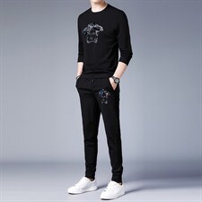 中青年运动套装男士2023春秋季休闲圆领印花长袖T恤上衣两件套，男装休闲套装，电商B212（原钱塘6029）