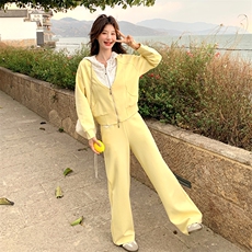 时尚拼接套装女2025年春季新款爆款洋气减龄连帽卫衣阔腿裤两件套，女装套装/套裙，2C029