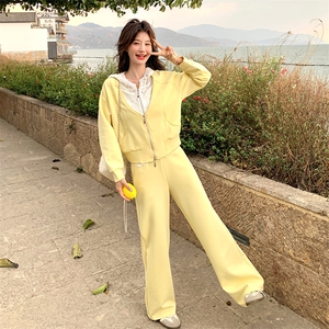时尚拼接套装女2025年春季新款爆款洋气减龄连帽卫衣阔腿裤两件套图片