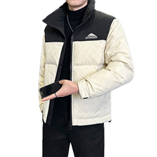 店主风2025年新款时尚立领撞色潮流保暖羽绒服男A236-G96-P195，男装羽绒服，电商A236