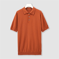 2025年秋季男士精纺纯山羊绒POLO领半袖套头衫时尚百搭所有人群，男装T恤，绒崒