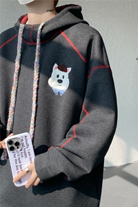 6XL-M 重磅刺绣连帽卫衣男高街套头打底上衣 WY47-P88图片