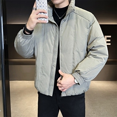 90新标2025冬立领加厚外套简约休闲短款设计款羽绒服Z9558-P295，男装羽绒服，电商A413