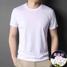 JT002男士2023年夏季新款简约百搭修身T恤短袖商务休闲体恤P46，男装T恤，电商B360