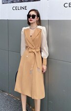 连衣裙，女装连衣裙，斯瑞威