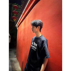 原版钉珠刺绣纯棉短袖ZX0299-P38，男装T恤，星座313A(原308A-2)