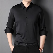 秋季中年纯色冰丝衬衫男士长袖爸爸商务休闲正装春秋薄款免烫衬衣，男装衬衫，电商B212（原钱塘6029）