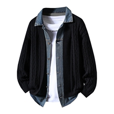 【抖音得物】2025年秋季时尚毛衣针织开衫翻领假两件长袖，男装针织衫/毛衣，电商A113