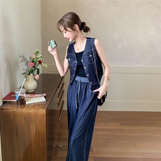 （新款现货)2025夏装天丝牛仔马甲+阔腿裤两件套1D060#-p160-k258，女装套装/套裙，1D060