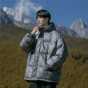 B225-W8534-P119-X149--贴标棉服-聚酯纤维图片