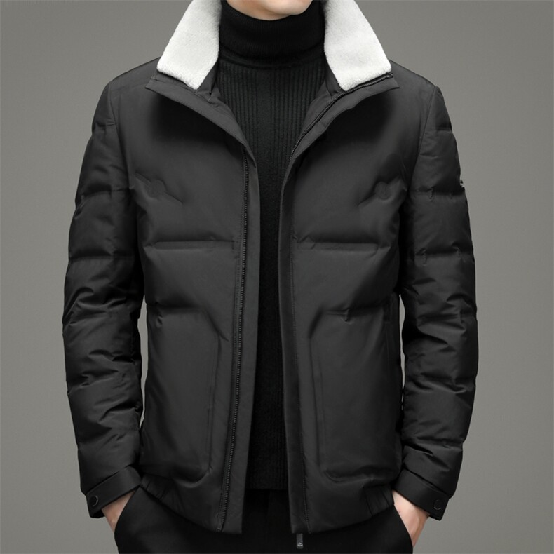 冬季新款纯色立领羽绒服休闲外套中年爸爸装上衣YYYR18-P290，男装羽绒服，电商B212（原钱塘6029）