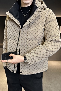 标50鸭绒大货男装羽绒服冬季外套C317-Y7826-P225288图片