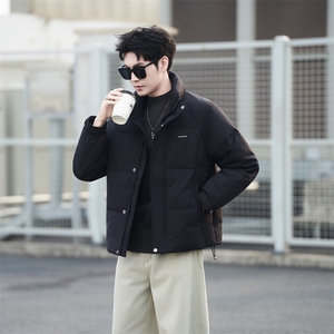 标50绒 轻薄立领羽绒服男冬季2025新款外套7900-M-3XL-P195图片
