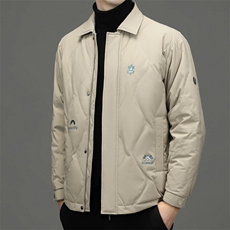 BWDF-12钱塘2020-2中年男士冬季厚款时尚休闲简约羽绒服P203，男装羽绒服，钱塘207-2