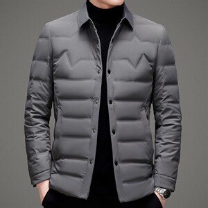 BAMJ-12119钱塘2020-2冬季厚款商务休闲简约中年男士羽绒服P170图片
