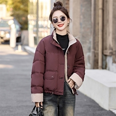 时尚拼色立领短款羽绒服女2025冬季小个子超好看面包服白鸭绒外套，女装羽绒服，沁沁公主
