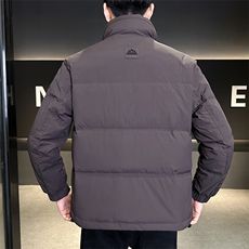 DS-A225标50冬季新款男士立领内衬石墨烯白鸭绒羽绒服3139，男装羽绒服，电商A225