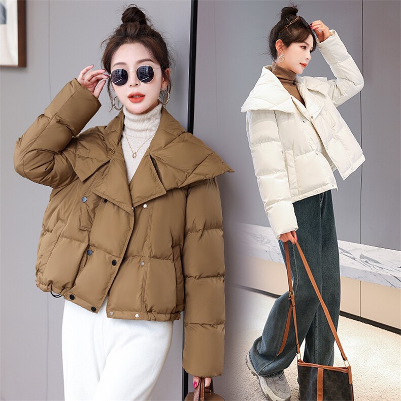 2024年冬季新款时尚气质显瘦大翻领时髦个性设计白鸭绒羽绒服，女装羽绒服，火爆靓佳人