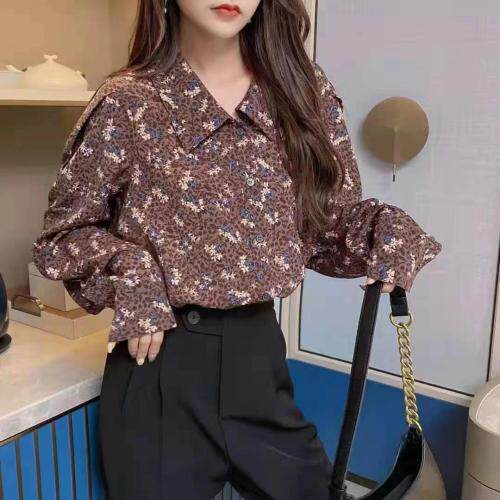 雪莉雷拉 XLLL119440