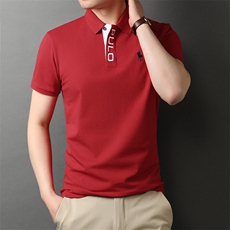 夏季新款男士翻领短袖t恤中年有领男装上衣服休闲POLO衫，男装T恤，电商B212（原钱塘6029）