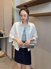 新款洋气短款韩味十足小衬衫，女装衬衫，L·H·X