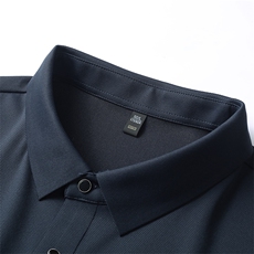 短袖T恤男薄款翻领上衣服夏季新款中年男士商务休闲半袖POLO衫，男装T恤，电商B212（原钱塘6029）
