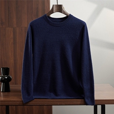 2025年秋季套头圆领青春流行时尚百搭，男装针织衫/毛衣，蒂暖羊绒