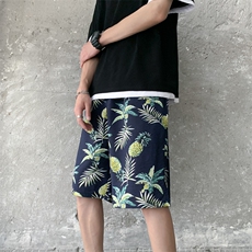 K2512菠萝花