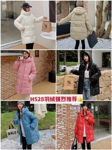 羽绒,其它,伊歌莉