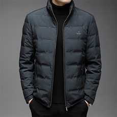 DW21120冬季男士羽绒服外套男装立领修身白鸭绒潮流帅气P229，男装羽绒服，电商B360