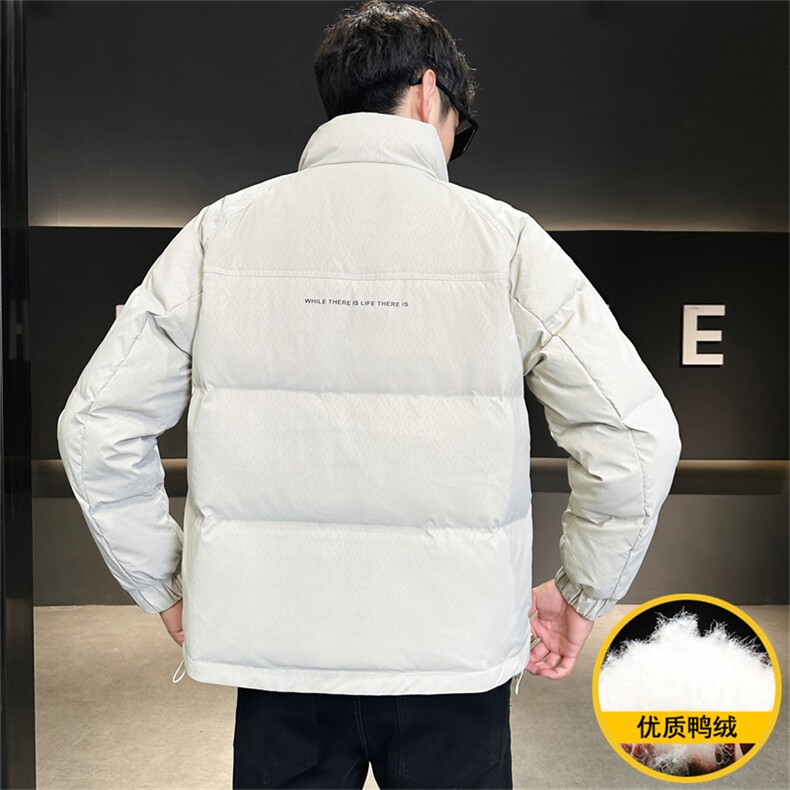 2025冬季DS-A225标新款男士立领白鸭绒羽绒服夹克885506-P150,男装夹克,电商A225