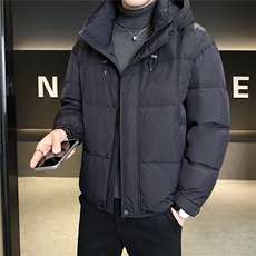 标50绒羽绒服男冬季2025新款外套A313-3311-P215控劵后298，男装羽绒服，电商A313