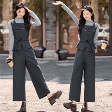 巨好看的秋装三件套女高级感新款轻熟复古气质显瘦马甲阔腿裤套装，女装套装/套裙，冬木谷雨