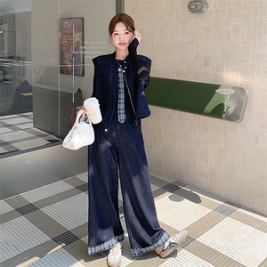 休闲减龄穿搭牛仔套装女春秋超火好看高级感小众马甲阔腿裤两件套图片