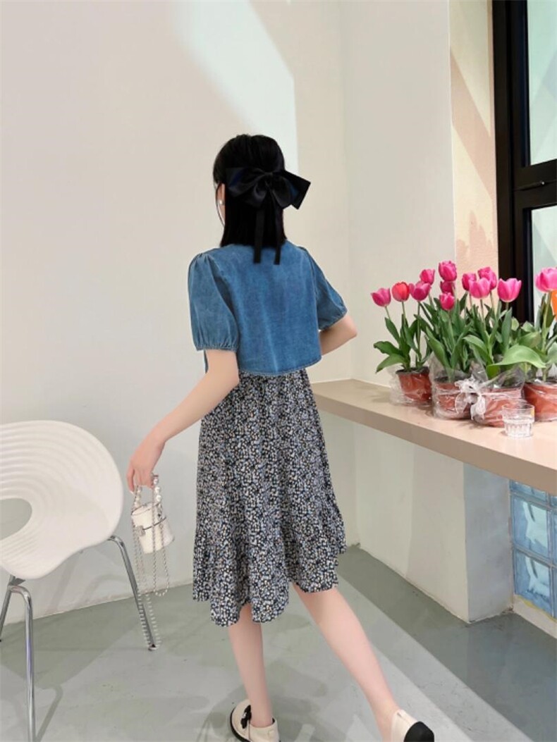 两件套牛仔连衣裙，女装连衣裙，英利伊人