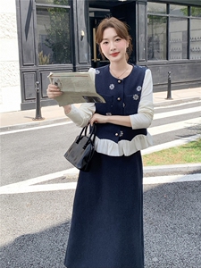 主推现货-2025年秋季新款气质时尚休闲显瘦马甲打底三件套女图片