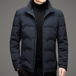 BAMJ-2175钱塘2020-2秋冬季厚款羽绒服中年男士休闲简约外套P288图片